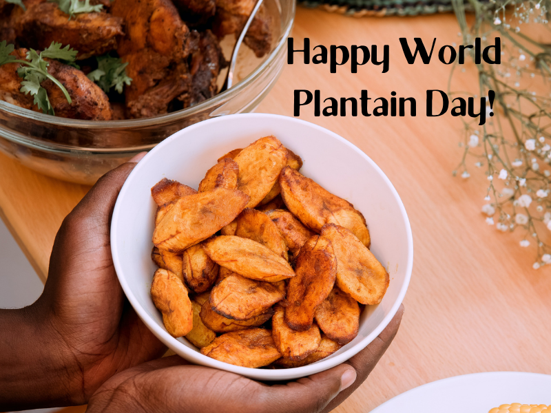 Plantaining: A Peek Into The History of Plantain